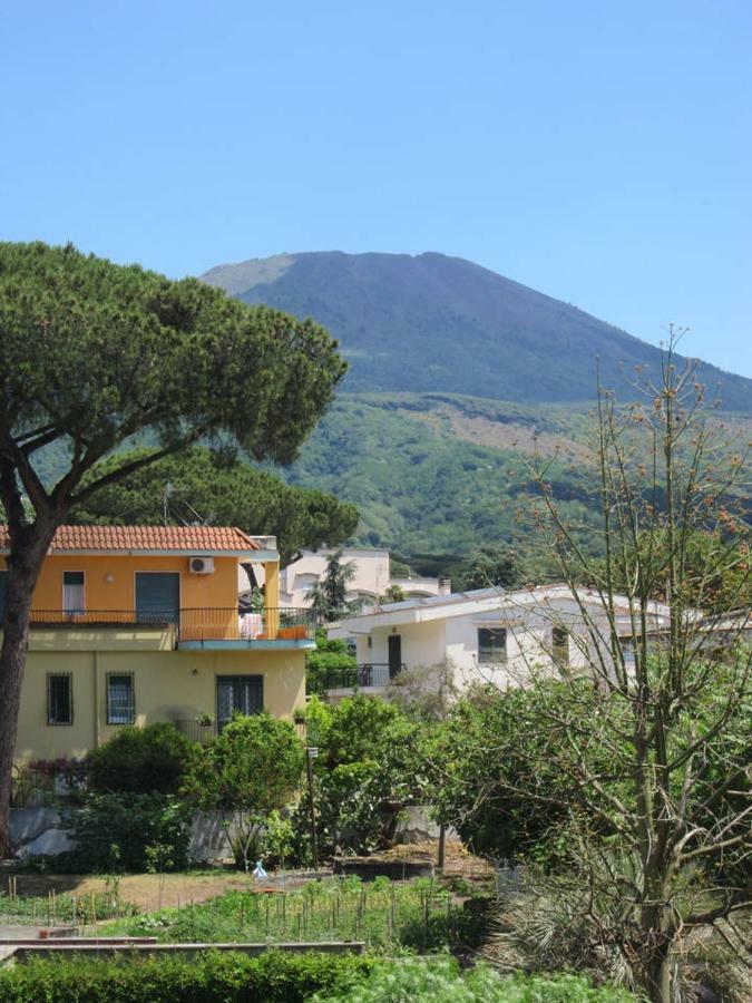 Casa Del Cappero Apartment ตอร์เรเดลเกรโค ภายนอก รูปภาพ